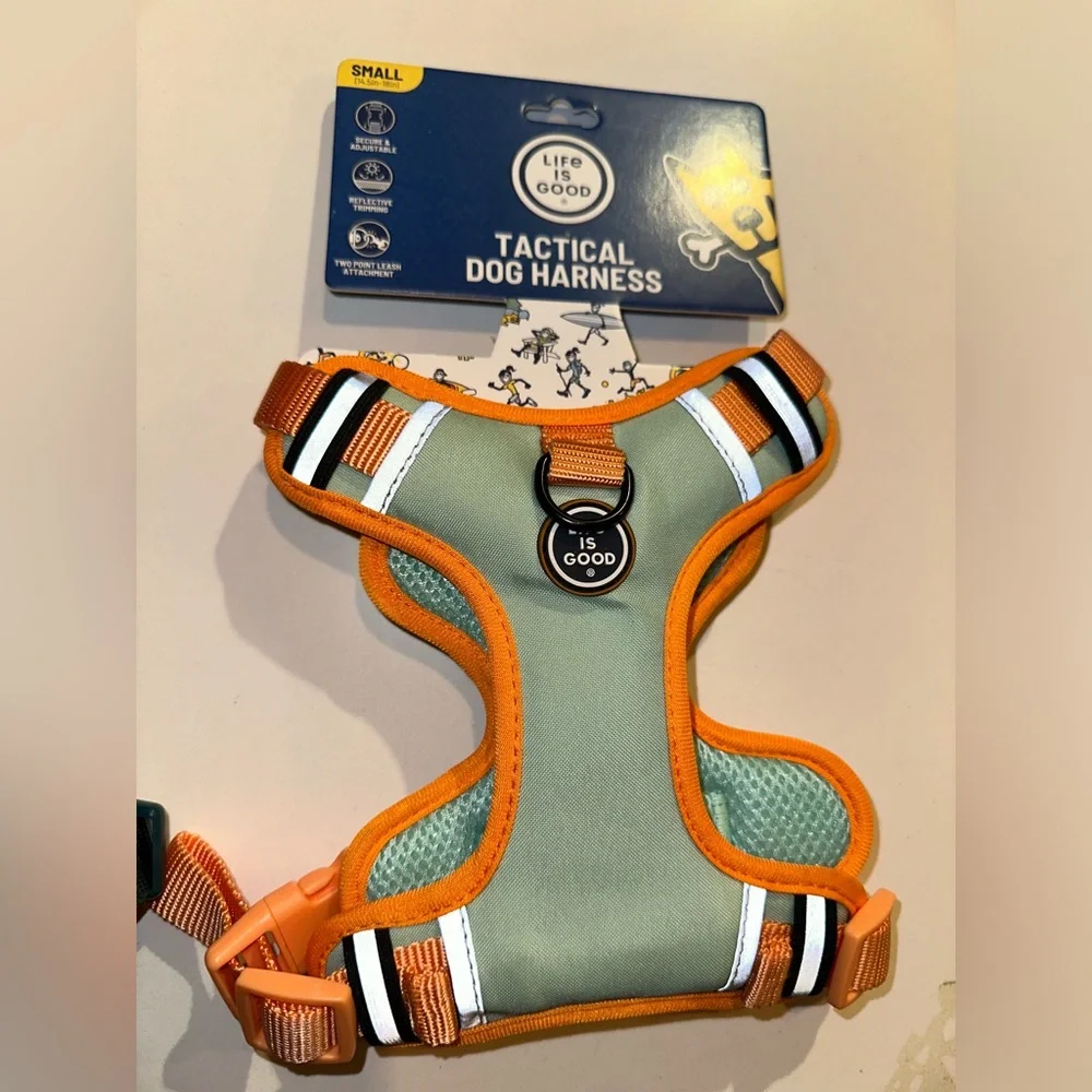Bundle deal two dog harness